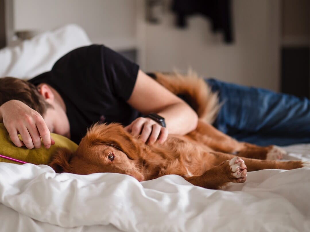 a woman takes a nap with her brown dog in daylight