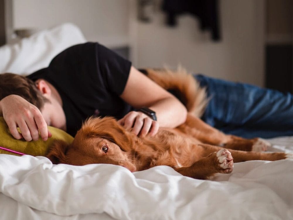 1684578300 a woman takes a nap with her brown dog in daylight